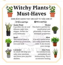 Pin By Appel On Witchy Tip Witch Herbs Witchy Garden Witch Garden