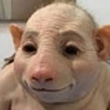 David Cumberland (@coopcumberland)