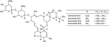 Ivermectin An Overview Sciencedirect Topics