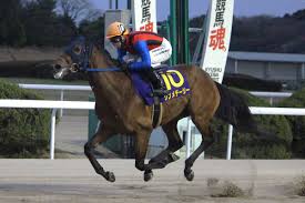 東スポ競馬 - News update