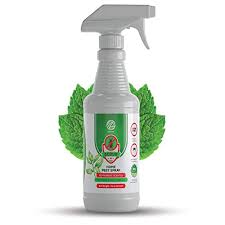 Peppermint oil for heartburn and stomach ache. Top 10 Best Peppermint Oil Pests 2021
