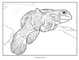 Outlined coral fishes horizontal coloring page tropical fish. Tropical Fish Coloring Book Nhbs Academic Professional Books
