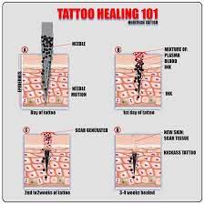 Taking care of a tattoo. Learn More About Tattoo Aftercare Ideas Tattoo Care Tattoos Tattoo Aftercare Tips Healing Tattoo Tattoo Aftercare