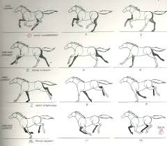 Http Liamkeninternetwhispers Files Wordpress Com 2011 11 Cerbrus Jpg Horse Animation Horse Drawings Horse Drawing Tutorial