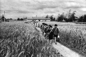 新哆啦老師的又一天 歲月台灣 陳石岸 4 taiwan image history of photography photo