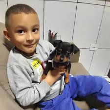 Mundo dos filhotes ofc