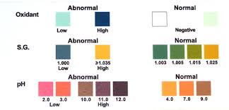 51 All Inclusive Abnormal Urine Color Chart