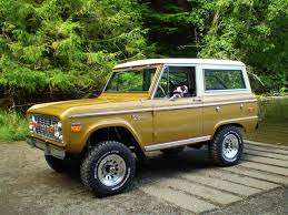 Image result for Medium Caramel 1981 Bronco