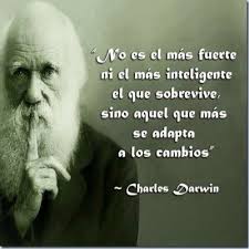 Ver más ideas sobre reflexiones hermosas, reflexiónes, frases bonitas. Imagenes Con Frases De Reflexion Para Whatsapp Bonitas Imagenes Para Whatsapp