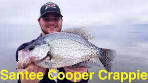 Santee Cooper Crappie Fishing Youtube