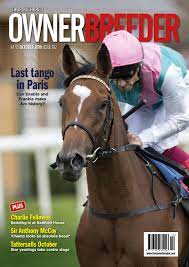 Icymi, champion mare midnight bisou was retired, the saudi cup announced the race will go again in 2021, and there's a chance for a triple crown in canada after. Thoroughbred Owner Breeder By The Owner Breeder Issuu