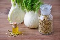 Image result for what are the benefits of fennel tea