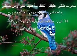شعرت بثقلي عليك Most Beautiful Birds Blue Jay Bird Beautiful Bird Wallpaper