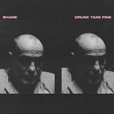 So i took a great dry gourd and, cutting open the head, scooped out the inside and cleaned it; Shame Drunk Tank Pink Kritik Stream Musikexpress
