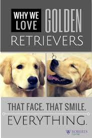 We Re Excited To Have The Grca At Our Beautiful Center This Week Golden Retriever Dog Show Royal Canin