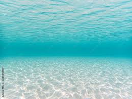 Image result for 沖縄の海