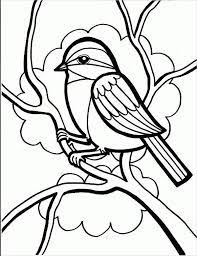It includes coloring pages featuring alligators, turtles, lizards, and snakes. 8 Bird Coloring Pages Jpg Ai Illustrator Download Free Premium Templates