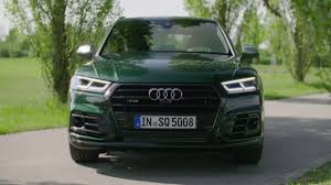 Image result for Azorean Green 2017 Q5