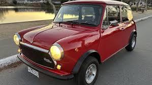 Image result for Honeysuckle 1972 Austin