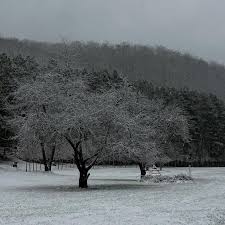 Parku i Gërmisë në ditën e parë të dimrit ❄☃🌨 Foto: Armend Ahmeti