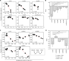 We did not find results for: Size Uniformity Of Animal Cells Is Actively Maintained By A P38 Mapk Dependent Regulation Of G1 Length Elife