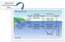 How does mercury get into lakes and streams? Mercury Pollution In The Ocean Wikipedia