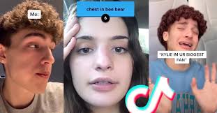 Also, see if you ca. Alt Tiktok Quiz With 44 Questions What Exactly Is This Google Doc