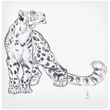 5 854 Likes 36 Comments J A W Cooper Jawcooper On Instagram Old Snow Leopard Sketch That I Drew With A Pent Leopard Art Leopard Sketch Leopard Drawing
