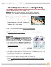 Punnett squares can be used to predict results. Student Exploration Mouse Genetics One Trait Answer Key Docx Student Exploration Mouse Genetics One Trait Answer Key Download Student Exploration Course Hero