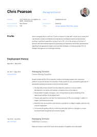 Managing Director Resume Writing Guide 12 Examples Pdf