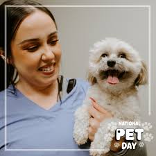 Foxtail Pines Veterinary Hospital