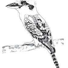 Black And White Framed Prints Australia Kookaburra Black And White Black And White Black And White Illustration Australian Native Birds