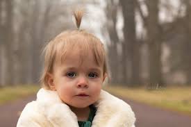 Profile for Michele Freiling Photography