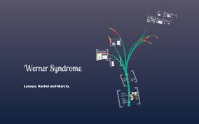 Werner Syndrome By Bio Ap