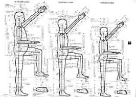 Anthropometrics Is The Data Which Concerns The Dimensions Of Human Beings Designers Need To Makes Sure That Th Human Dimension Design Reference Tool Design