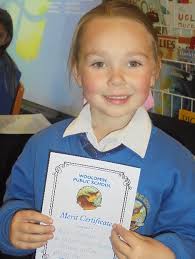 Woolomin Public School