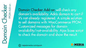 Domain Checker Add On Woocommerce Things To Sell Checker