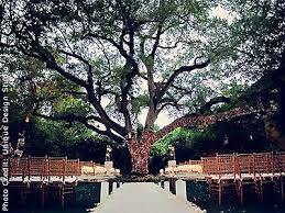 Villa Woodbine Coconut Grove Weddings Miami Wedding Venues 33133 Here Comes The Guide Miami Wedding Venues Villa Woodbine Wedding Venues