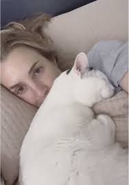 Donna Innes Sudney Cat