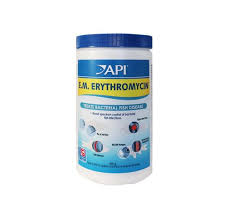 Image result for Erythromycin