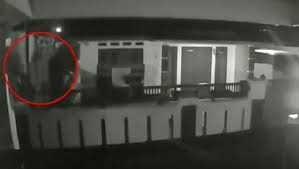 Halaman jual kucing bengal ini ditutup karena sudah sold out. Kucing Bengal Dan Burung Nuri Raib Dicuri Kejadian Terekam Kamera Cctv Bagian 1