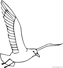 Download and print these seagull coloring pages for free. Easy Flying Seagull Coloring Page Coloringall