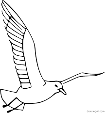 Whitepages is a residential phone book you can use to look up individuals. Easy Flying Seagull Coloring Page Coloringall