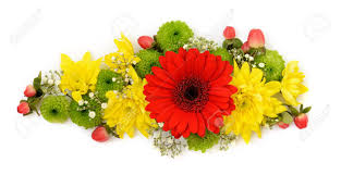 Flower, flowers,flowers, pink poppies with blue background, flower arranging, branch png. Yellow Red And Green Flowers Arrangement On White Background Stock Photo Picture And Royalty Free Image Image 80598944