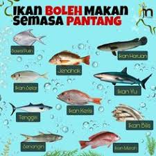 Makanan bisa mempercepat penyembuhan luka operasi caesar terlepas empat jenis makanan obat tradisional penyembuhan luka caesar. 52 Menu Berpantang Ideas Confinement Food Menu Food