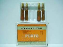 The freed energy is stored as potential energy in atp, carbohydrates. Ø£Ø¯ÙŠÙ†ÙˆØ³ÙŠÙ† Ø­Ù‚Ù† Ù„Ø¹Ù„Ø§Ø¬ Ø³Ø±Ø¹Ø© Ø¶Ø±Ø¨Ø§Øª Ø§Ù„Ù‚Ù„Ø¨ Adenosine Injection Ø§Ù„Ø£Ø¬Ø²Ø®Ø§Ù†Ø©