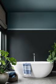 Dulux Colour Of The Year 2018 Mad About The House Bathroom Paint Colors Bathroom Trends Painting Bathroom