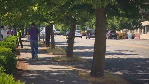 We did not find results for: Seattle Debates New Law To Require Permits For Tree Cutting On Properties Komo