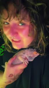 Bearded Dragons Raquel Cherry