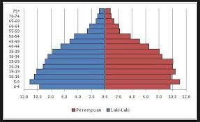 Piramida Penduduk Pengertian Fungsi Macam Macam Contoh